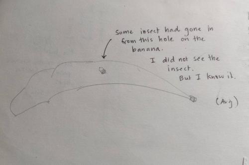 Wormhole